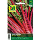Mangold "Rhubarb Chard" - Mangold "Rhubarb Chard"