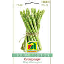 Grünspargel "Mary Washington" - Grünspargel "Mary Washington"