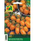 Tomate "Datlo" - Tomate "Datlo"