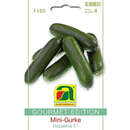Mini-Gurke "Hopeline F1" - Mini-Gurke "Hopeline F1"