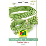 Meterbohne "Metro" - Meterbohne "Metro"