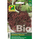 Schnittsalat BIO "Lollo rossa" - Schnittsalat BIO "Lollo rossa"
