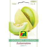 Zuckermelone "Galia F1" - Zuckermelone "Galia F1"