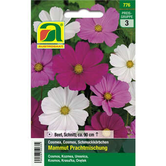 Cosmea "Mammut Prachtmischung"