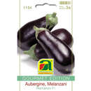 Aubergine/Melanzani "Romanov F1" - Aubergine/Melanzani "Romanov F1"
