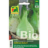 Weißkraut, Weißkohl BIO "Filderkraut" - Weißkraut, Weißkohl BIO "Filderkraut"