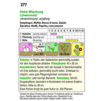 Löwenmaul "Hohe Mischung": Bild 2/2