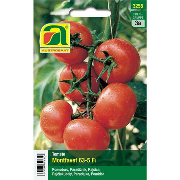 Tomate "Montfavet 63-5 F1": Bild 1/2