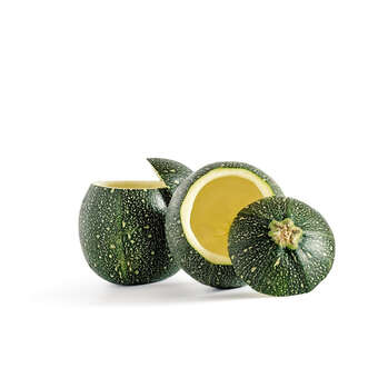 Zucchini "Eight ball F1": Bild 3/4