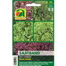 Schnittsalate "Bunte Salate" - Saatband - Schnittsalate "Bunte Salate" - Saatband