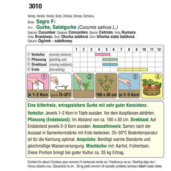 Gurke "Sagro F1": Bild 2/2 Gurke "Sagro F1": Bild 2/2