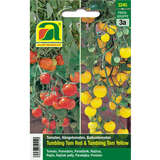 Tomate "Tumbling Tom Red & Yellow" - Tomate "Tumbling Tom Red & Yellow"