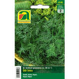 Dill "Tetra" - Dill "Tetra"