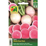 Rettich "Misato Rose Flesh" - Rettich "Misato Rose Flesh"