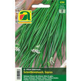 Schnittknoblauch "Sapras" - Schnittknoblauch "Sapras"