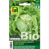Eissalat BIO "Grazer Krauthäuptel 2" - Eissalat BIO "Grazer Krauthäuptel 2"