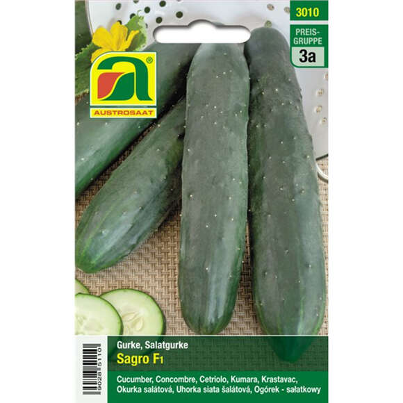 Gurke "Sagro F1": Bild 1/2 Gurke "Sagro F1": Bild 1/2