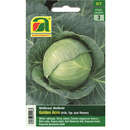 Weißkraut "Golden Acre" - Weißkraut "Golden Acre"