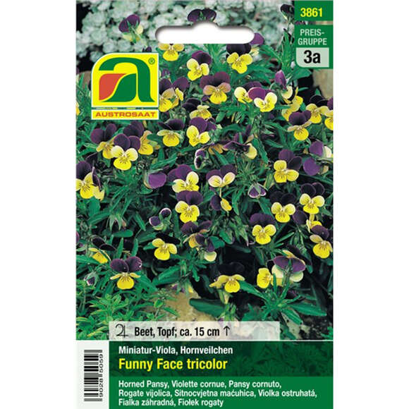 Viola, Mini-Viola "Funny Face tricolor": Bild 1/2
