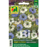 Jungfer im Grünen BIO "Blau & Weiß" - Jungfer im Grünen BIO "Blau & Weiß"