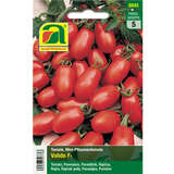 Tomate "Valido F1" - Tomate "Valido F1"