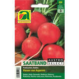 Radieschen "Riesen von Aspern®" - Saatband - Radieschen "Riesen von Aspern®" - Saatband