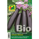 Aubergine/Melanzani BIO "Violetta lunga 3" - Aubergine/Melanzani BIO "Violetta lunga 3"