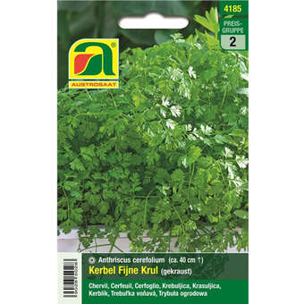 Kerbel "Fijne Krul"
