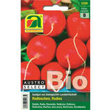 Radieschen BIO "Wiener Rotes Treib®" - Radieschen BIO "Wiener Rotes Treib®"