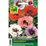Gartenmohn "Supreme Mischung" - Gartenmohn "Supreme Mischung"