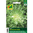 Endivie "Fijne Krul Geel (Frisée)": Bild 1/2