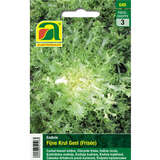 Endivie "Fijne Krul Geel (Frisée)" - Endivie "Fijne Krul Geel (Frisée)"