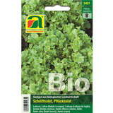 Schnittsalat BIO "Salad Bowl" - Schnittsalat BIO "Salad Bowl"