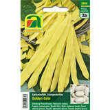 Stangenbohne "Golden Gate" - Stangenbohne "Golden Gate"