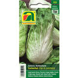 Zichorie "Zuckerhut (Pan di zucchero)" - Zichorie "Zuckerhut (Pan di zucchero)"