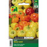Paprika "Wiener Calvill" - Paprika "Wiener Calvill"