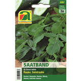 Rauke "Salatrauke" - Saatband - Rauke "Salatrauke" - Saatband