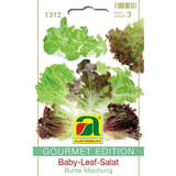 Baby-Leaf-Salat "Bunte Mischung" - Baby-Leaf-Salat "Bunte Mischung"