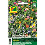 Blumenmischung "Multicolor" - Blumenmischung "Multicolor"