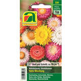 Strohblumen "Hohe Mischung" - Strohblumen "Hohe Mischung"