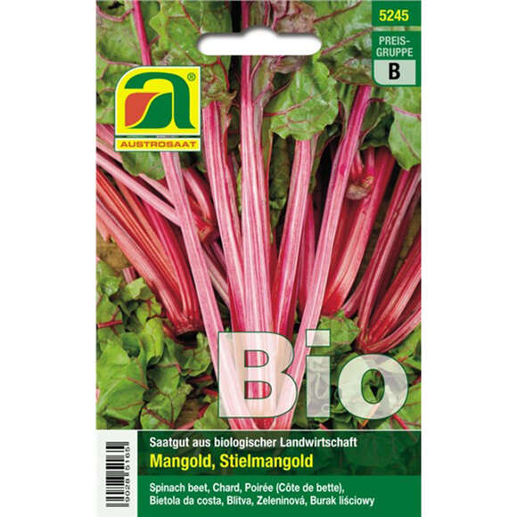 Mangold BIO "Rhubarb Chard": Bild 1/2 Mangold BIO "Rhubarb Chard": Bild 1/2