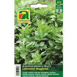 Liebstöckl, Maggikraut - Liebstöckl, Maggikraut