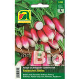 Radieschen BIO "Flamboyant 2" - Radieschen BIO "Flamboyant 2"