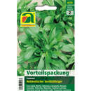 Feldsalat "Holländischer breitblättriger" - Feldsalat "Holländischer breitblättriger"