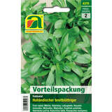 Feldsalat "Holländischer breitblättriger" - Feldsalat "Holländischer breitblättriger"