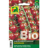 Tomate BIO "Zuckertraube" - Tomate BIO "Zuckertraube"