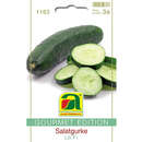 Salatgurke "Lili F1" - Salatgurke "Lili F1"