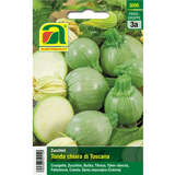 Zucchini "Tonda chiara di Toscana" - Zucchini "Tonda chiara di Toscana"