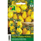 Tomate "Yellow Pearshaped (Gelbe Birne)" - Tomate "Yellow Pearshaped (Gelbe Birne)"