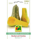 Butternuß-Kürbis "Barbara F1" - Butternuß-Kürbis "Barbara F1"
